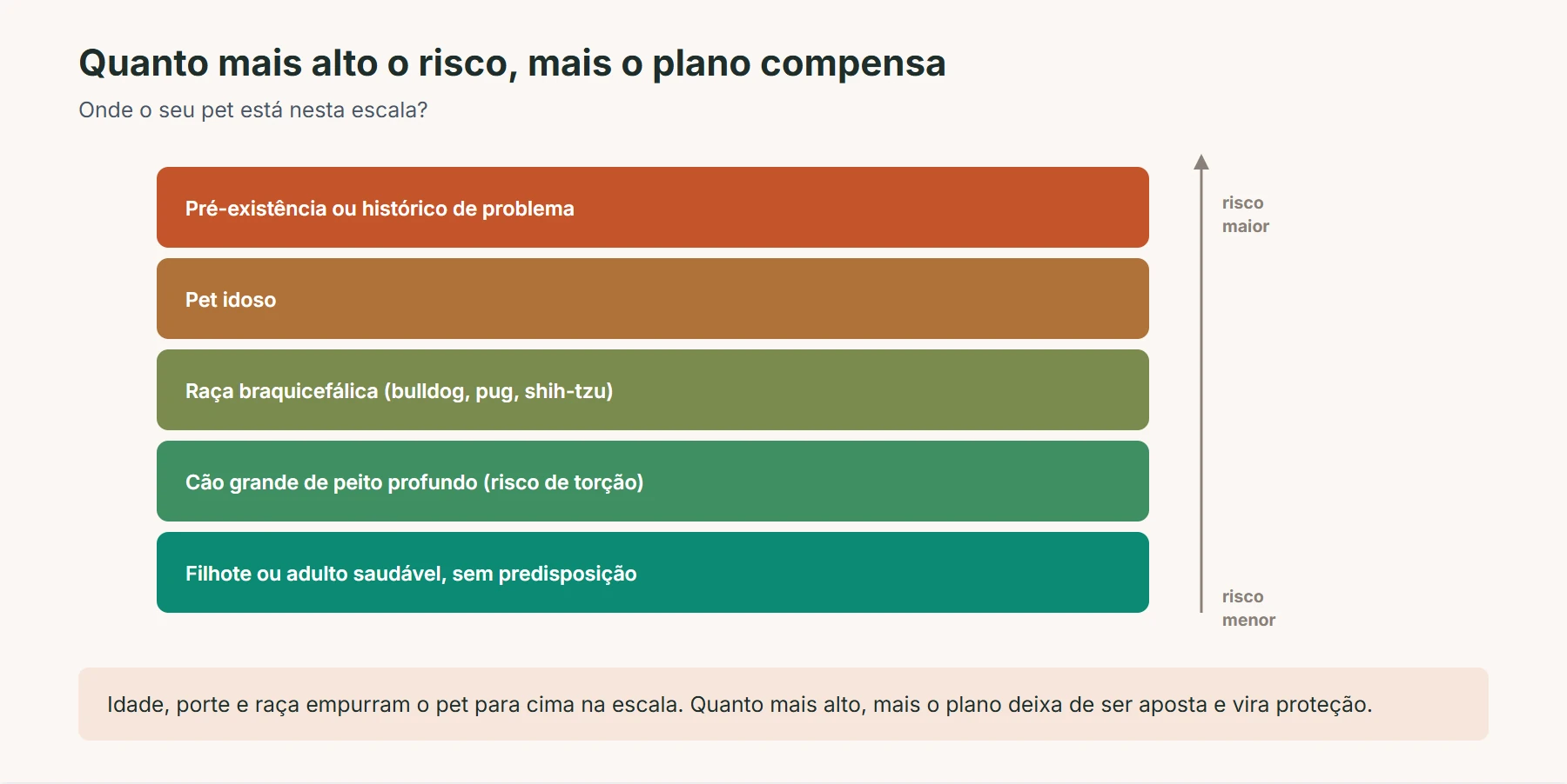 plano de saúde pet vale a pena: escala de risco do pet, do filhote saudável ao pet com pré-existência