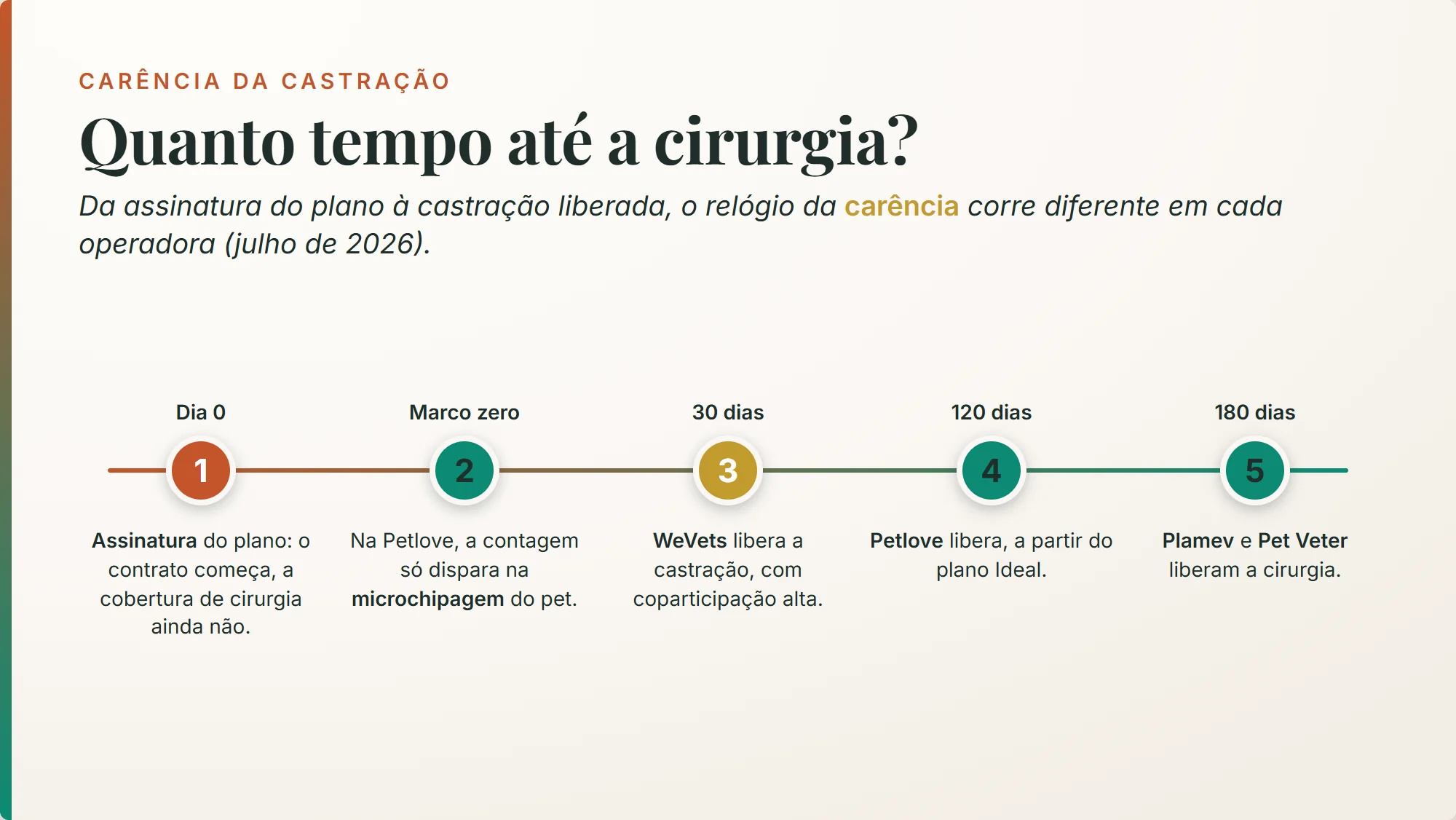 plano de saúde pet cobre castração: a carência vai de 30 dias na WeVets a 120 na Petlove e 180 na Plamev antes da cirurgia liberada