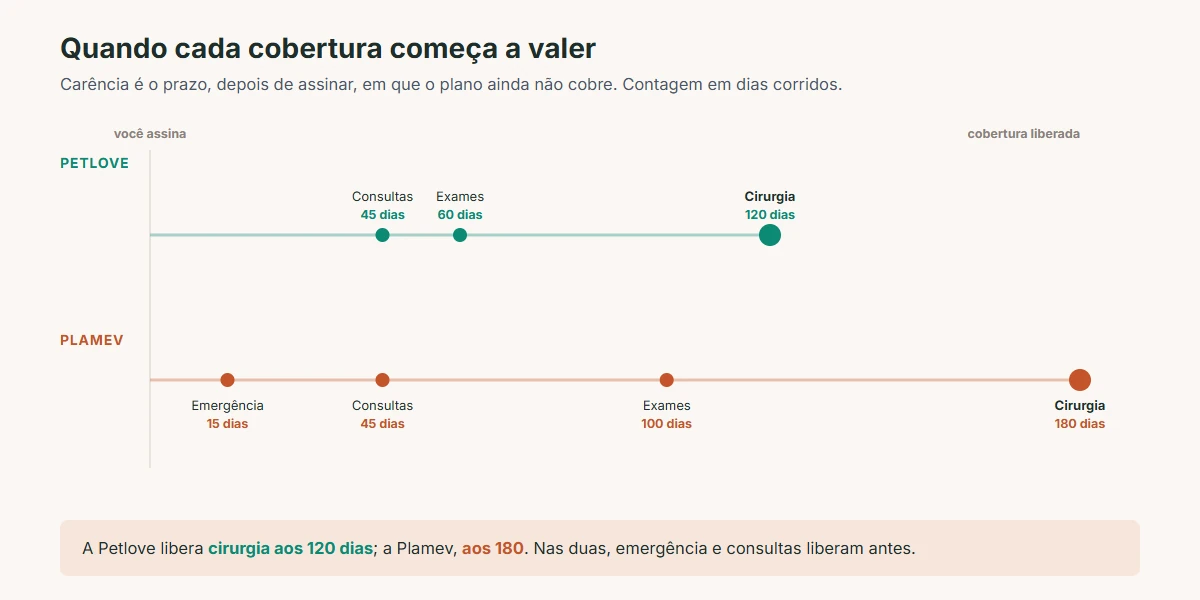 petlove ou plamev: linha do tempo das carências, cirurgia liberada aos 120 dias na petlove e 180 na plamev