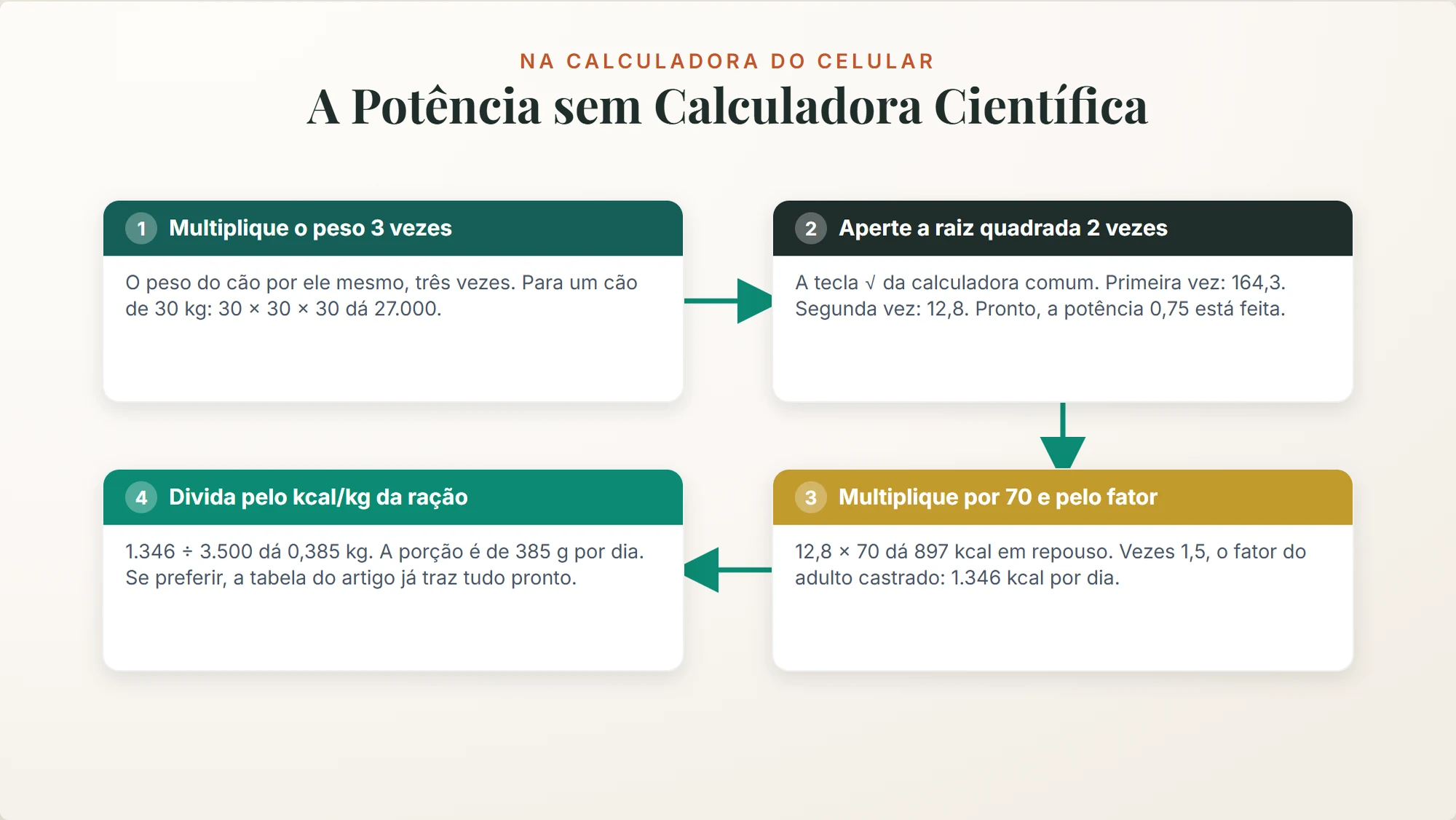 quantidade de ração para cachorro: como fazer a conta da porção na calculadora comum do celular, em quatro toques