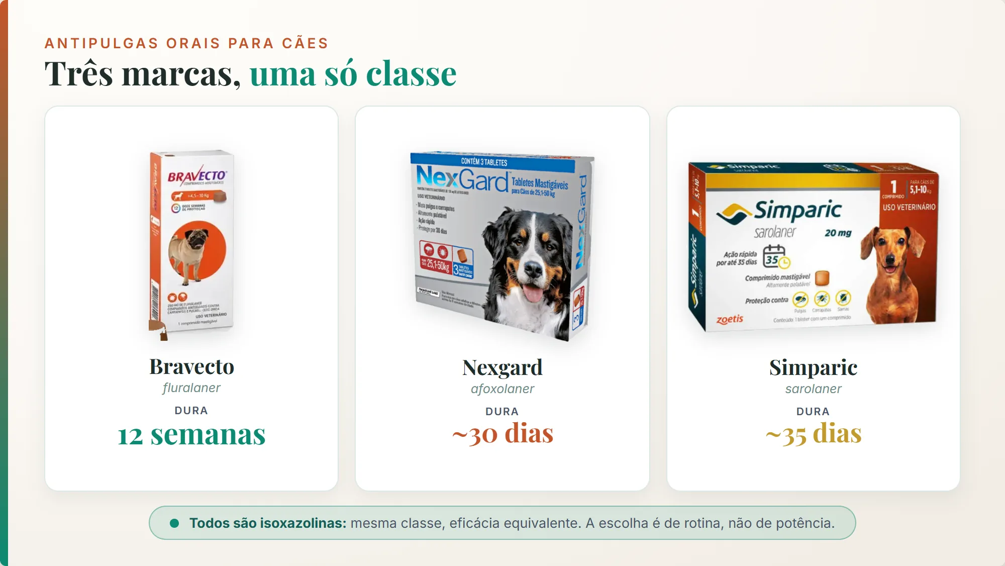 bravecto ou nexgard ou simparic: os três antipulgas orais lado a lado, todos da classe isoxazolina, com durações de 12 semanas a 35 dias