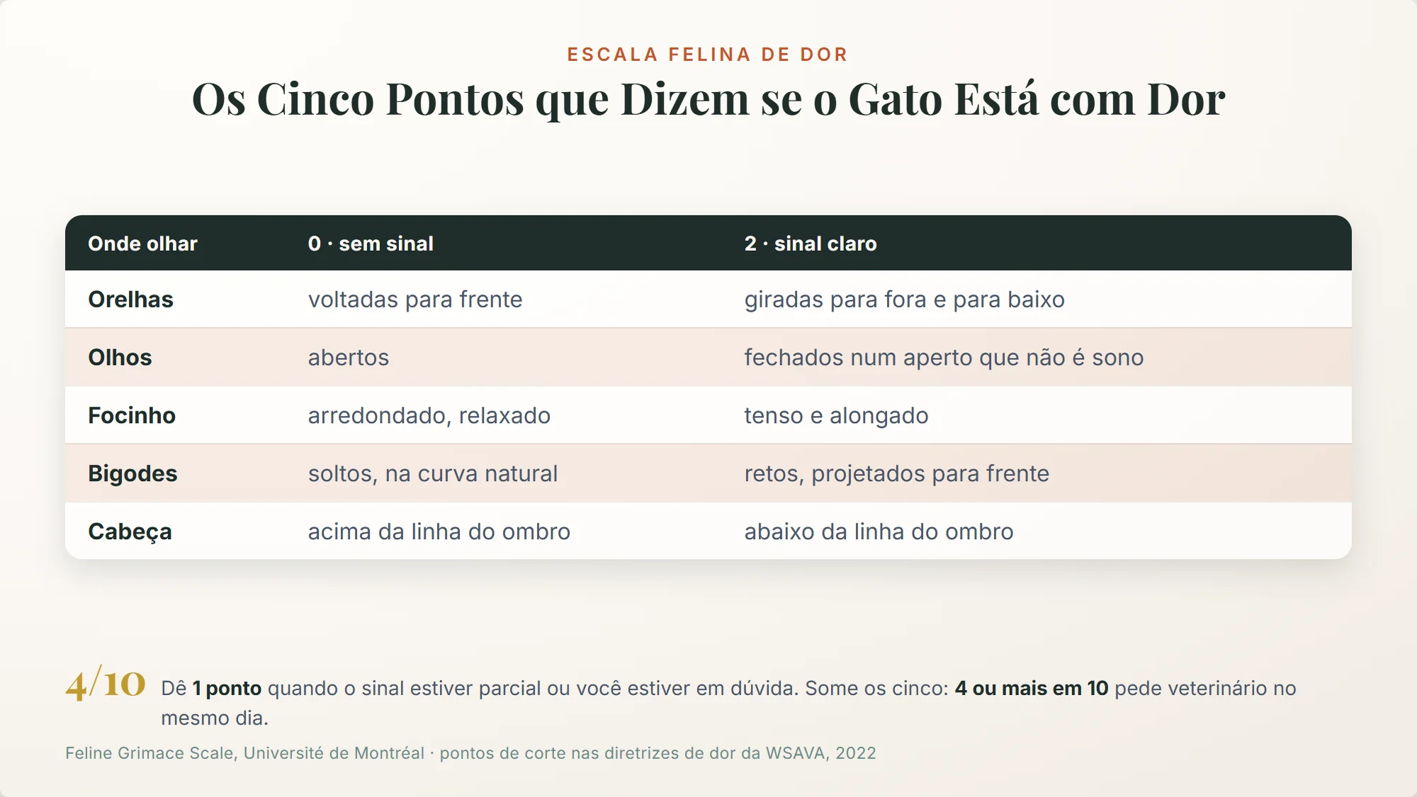 sinais de dor em gatos: tabela das cinco expressões faciais avaliadas de 0 a 2 na escala felina