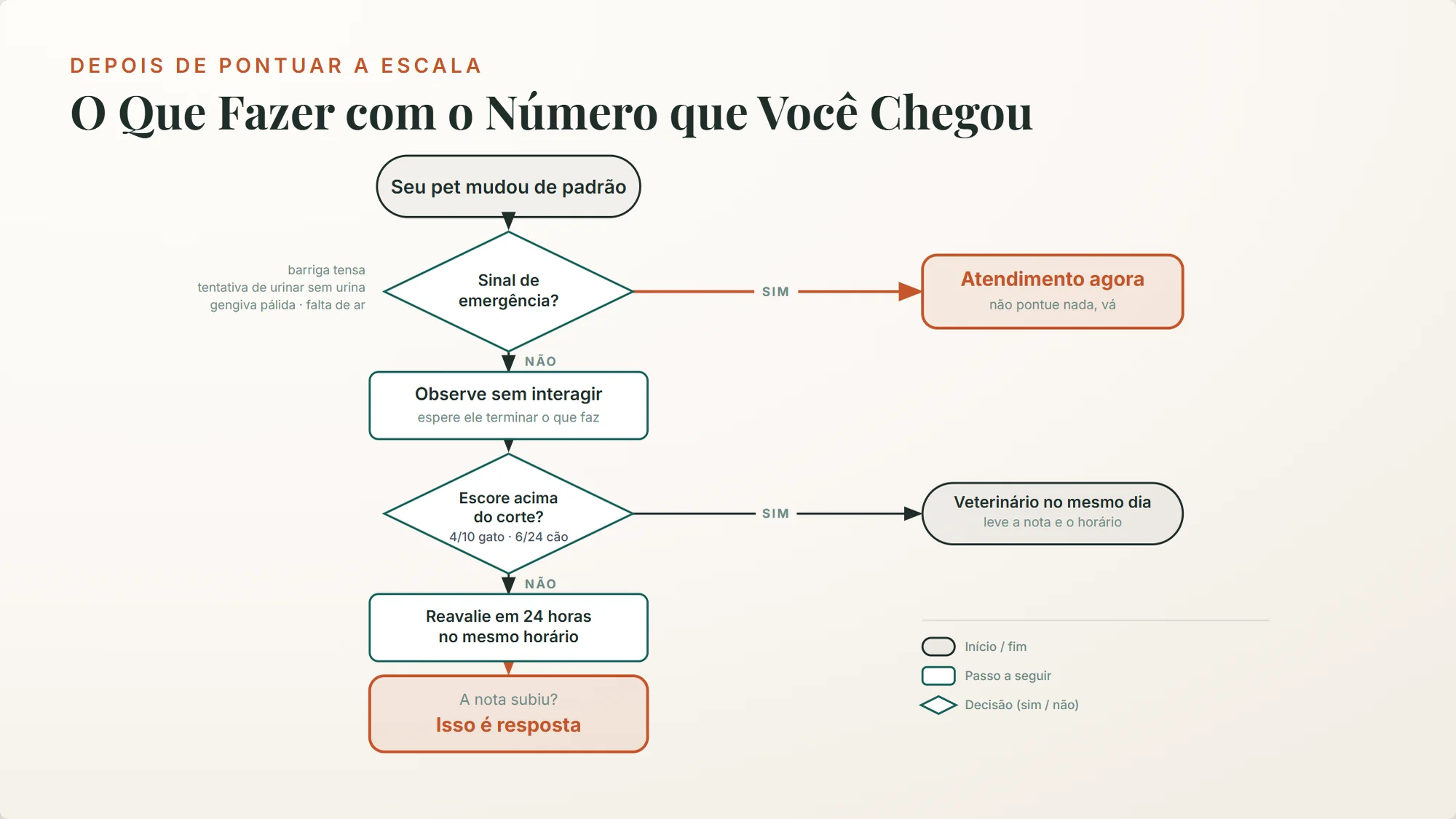 sinais de dor em gatos: fluxo de decisão do que fazer depois de pontuar a escala