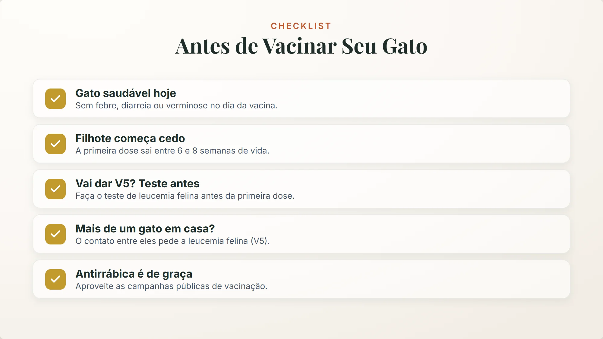 vacinas de gato: checklist com 5 conferências antes de vacinar, do teste de leucemia felina à campanha antirrábica gratuita