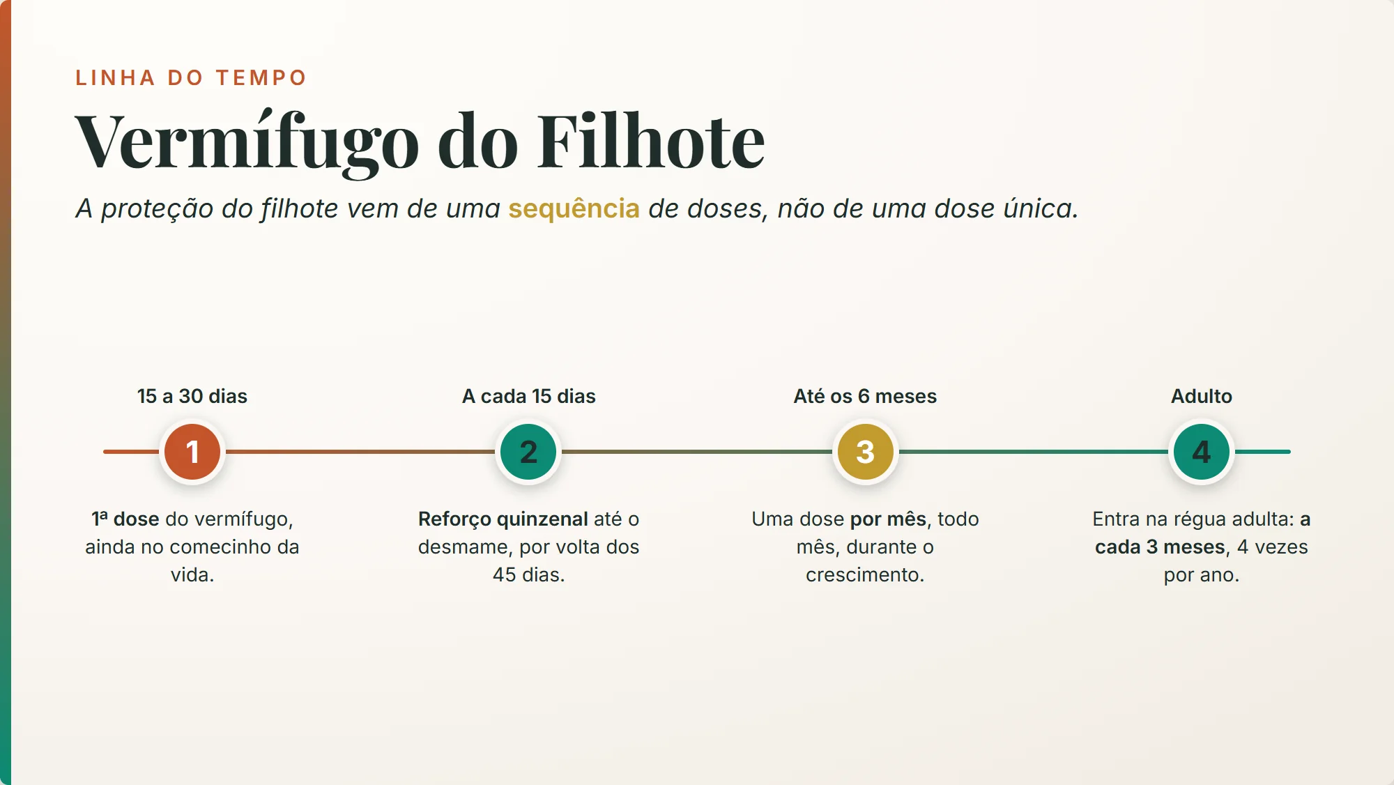 de quanto em quanto tempo dar vermífugo no filhote: 1ª dose aos 15-30 dias, reforço a cada 15 dias até o desmame e mensal até os 6 meses