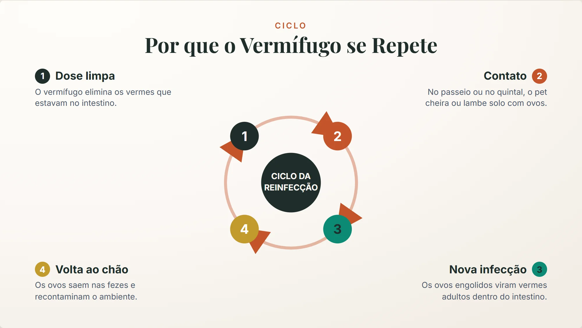 de quanto em quanto tempo dar vermífugo: o ciclo de reexposição reinfecta o pet pelo ambiente, por isso a dose se repete