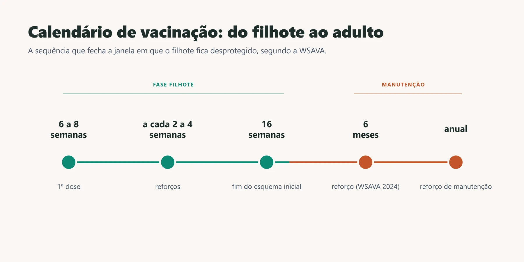saúde preventiva pet: linha do tempo da vacinação do filhote ao adulto
