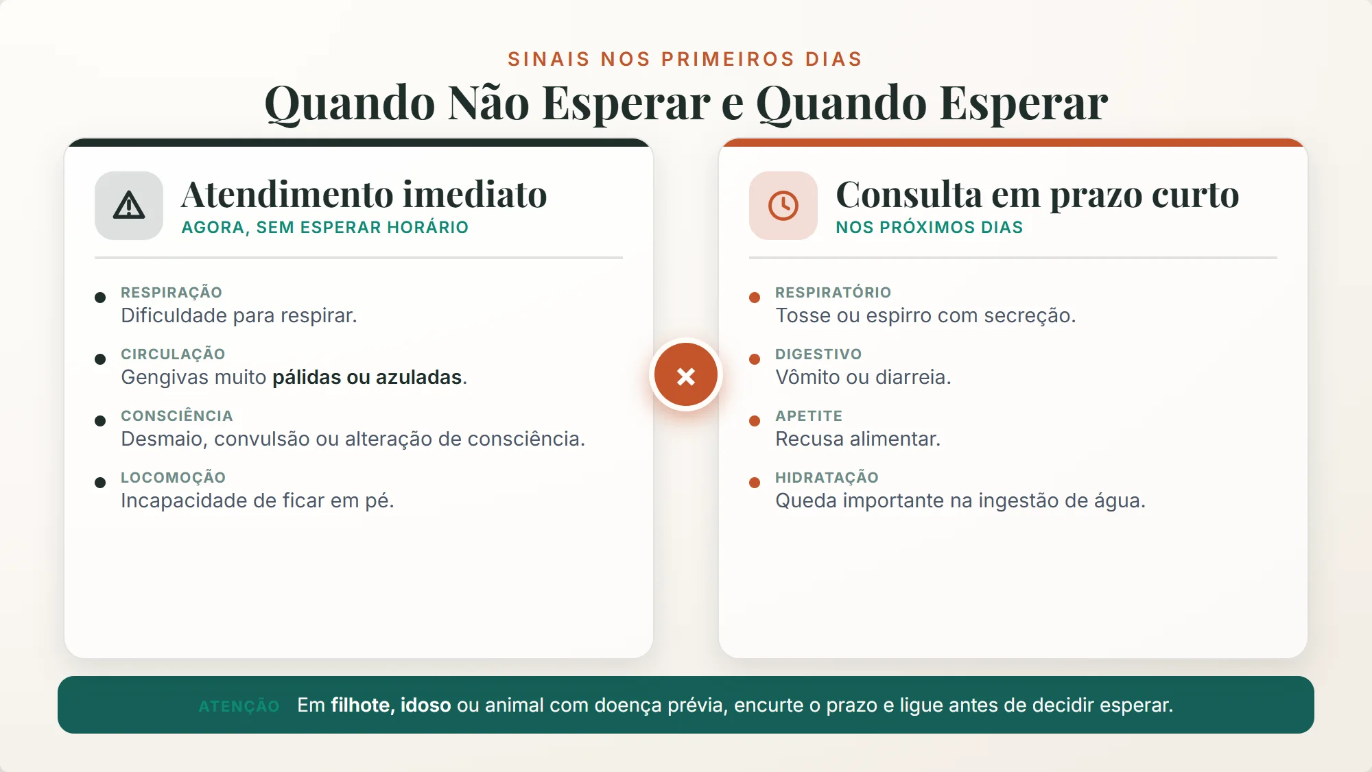 adotei um cachorro: quais sinais pedem atendimento imediato e quais pedem consulta em prazo curto