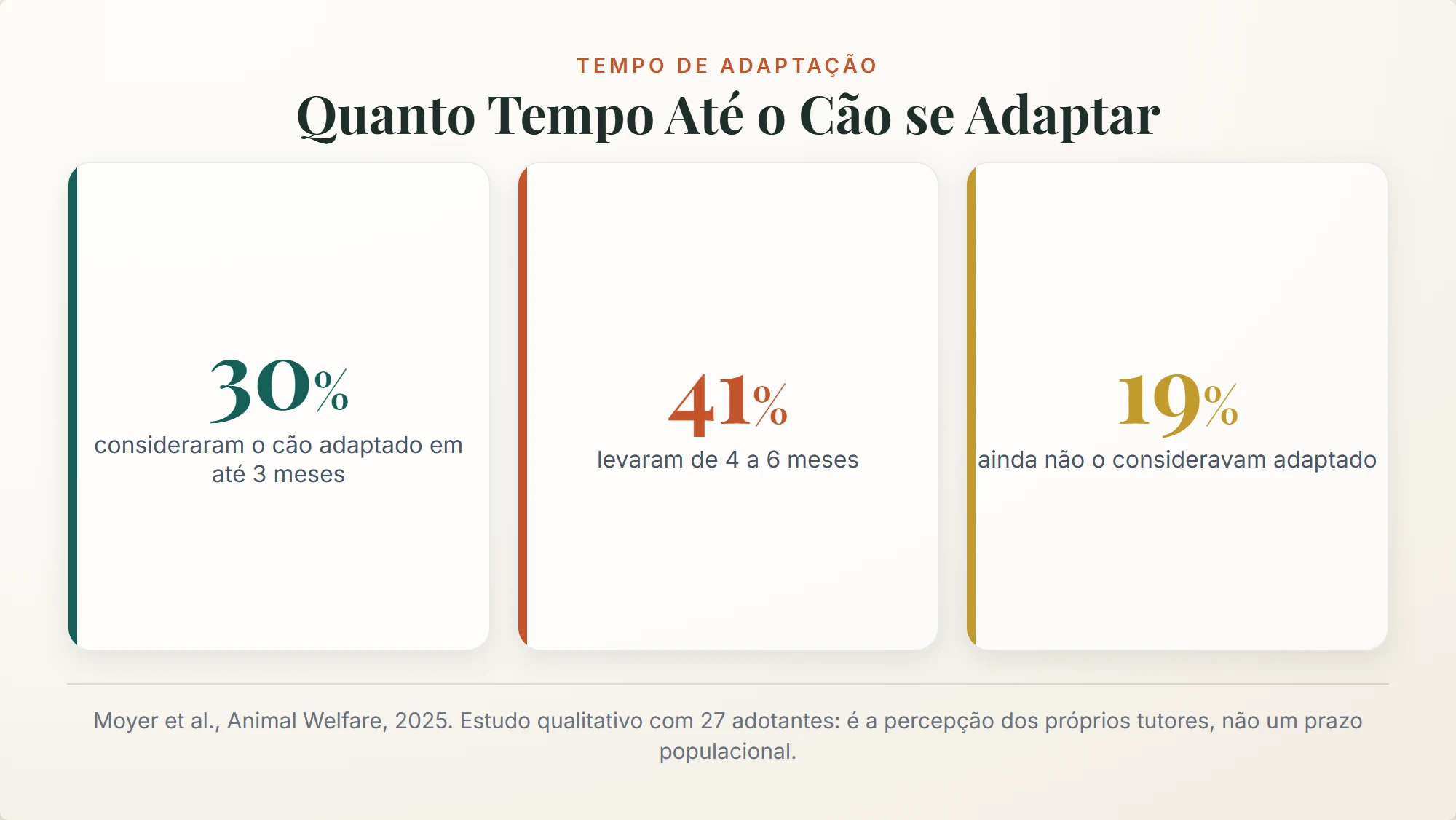 adotei um cachorro: 41% dos tutores levaram de 4 a 6 meses para considerar o cão adaptado
