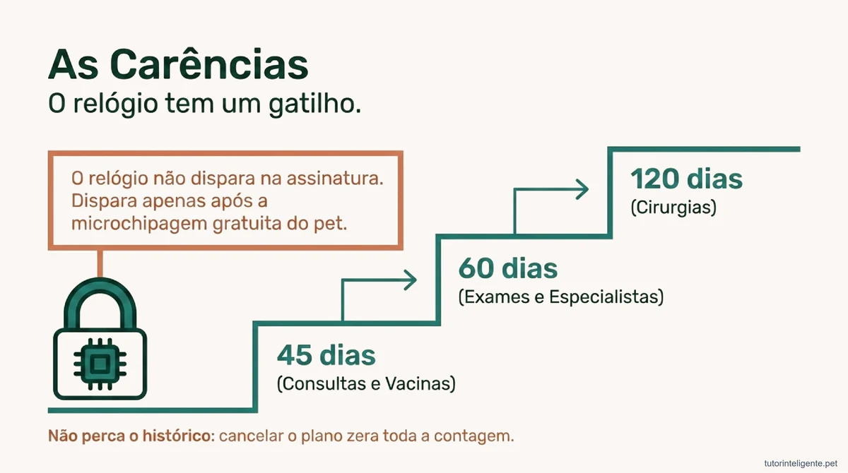petlove saúde vale a pena: os prazos de carência de 45, 60 e 120 dias contados a partir da microchipagem