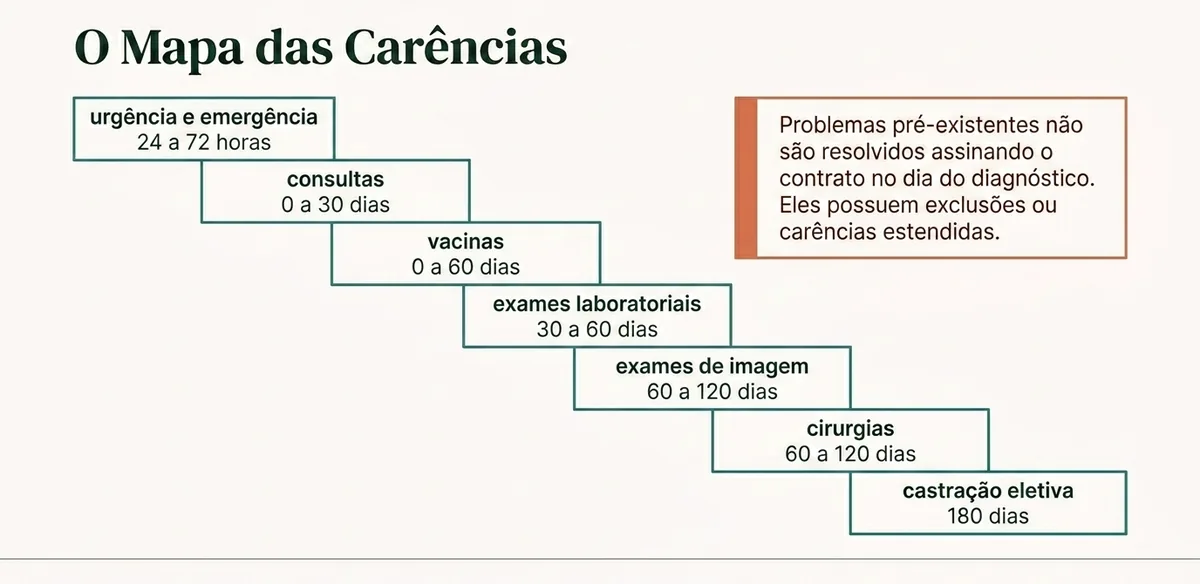 plano de saude pet: mapa das carencias por procedimento, da urgencia de 24 horas a castracao de 180 dias