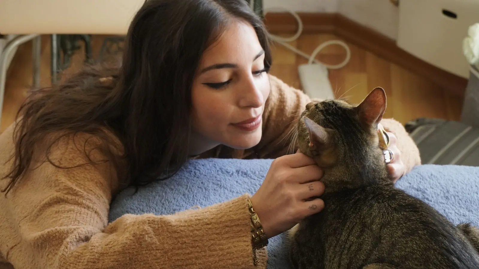 plano de saúde para gato: tutora acaricia o gato adulto em casa, os dois de frente um para o outro