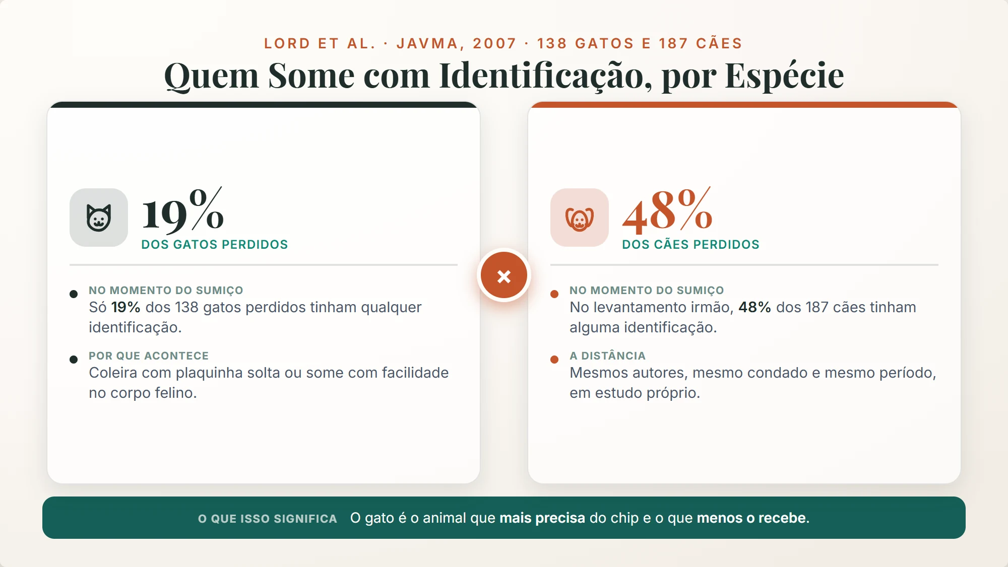 microchipagem cachorro e gato: 19% dos gatos perdidos tinham identificação contra 48% dos cães