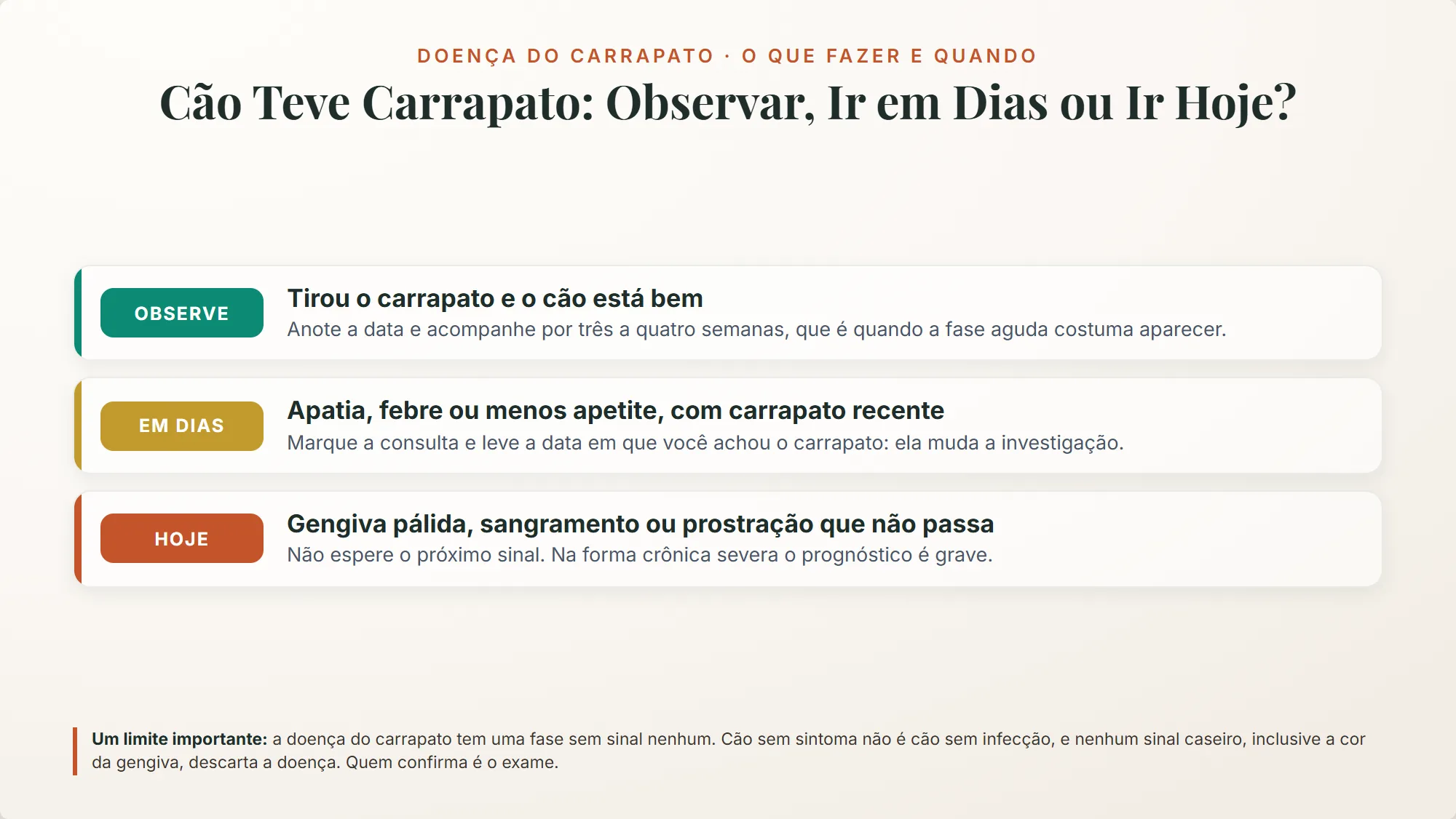 doença do carrapato: quando observar, quando procurar o veterinário em dias e quando ir no mesmo dia