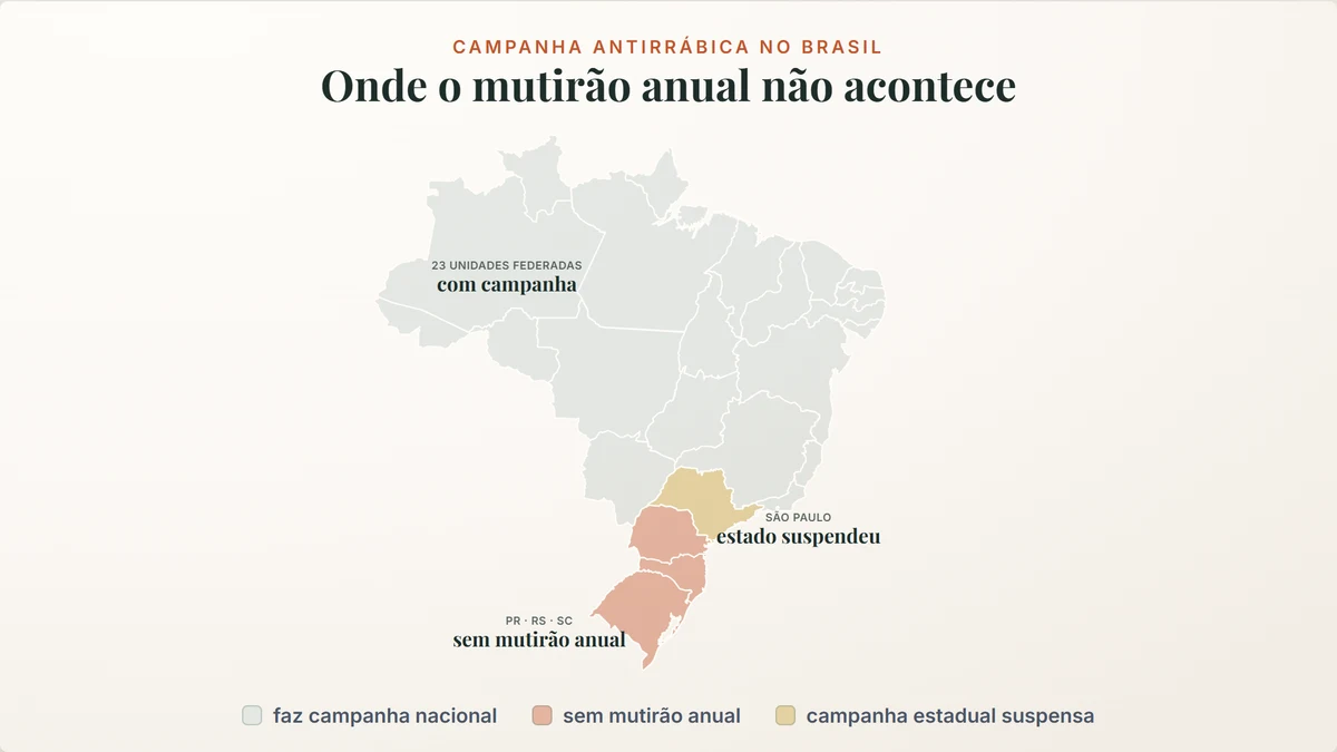 vacina antirrábica cachorro: 23 unidades federadas fazem campanha nacional e 4 não fazem mutirão anual