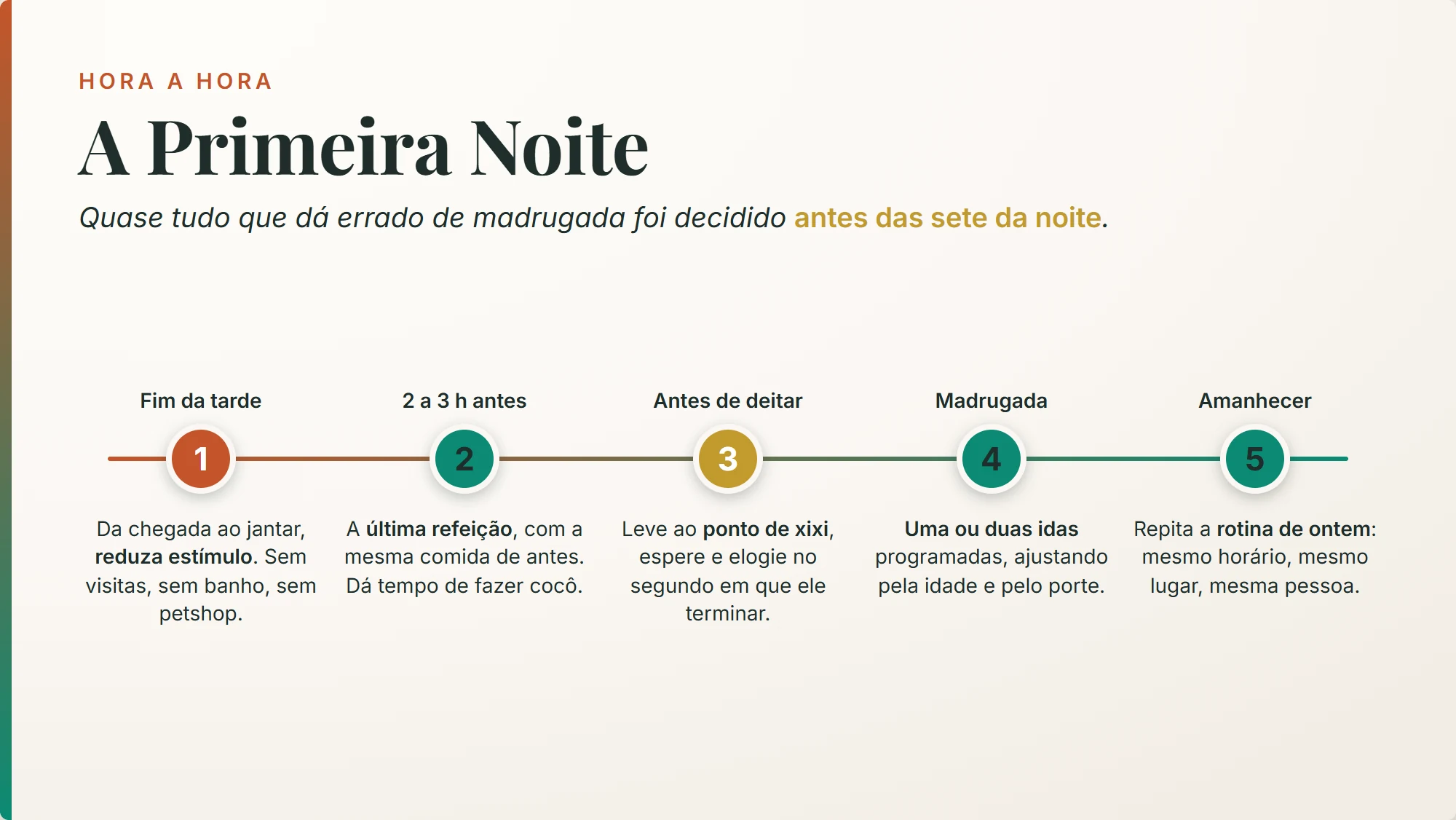 primeira noite do filhote em casa: linha do tempo da noite em 5 passos, do fim da tarde ao amanhecer