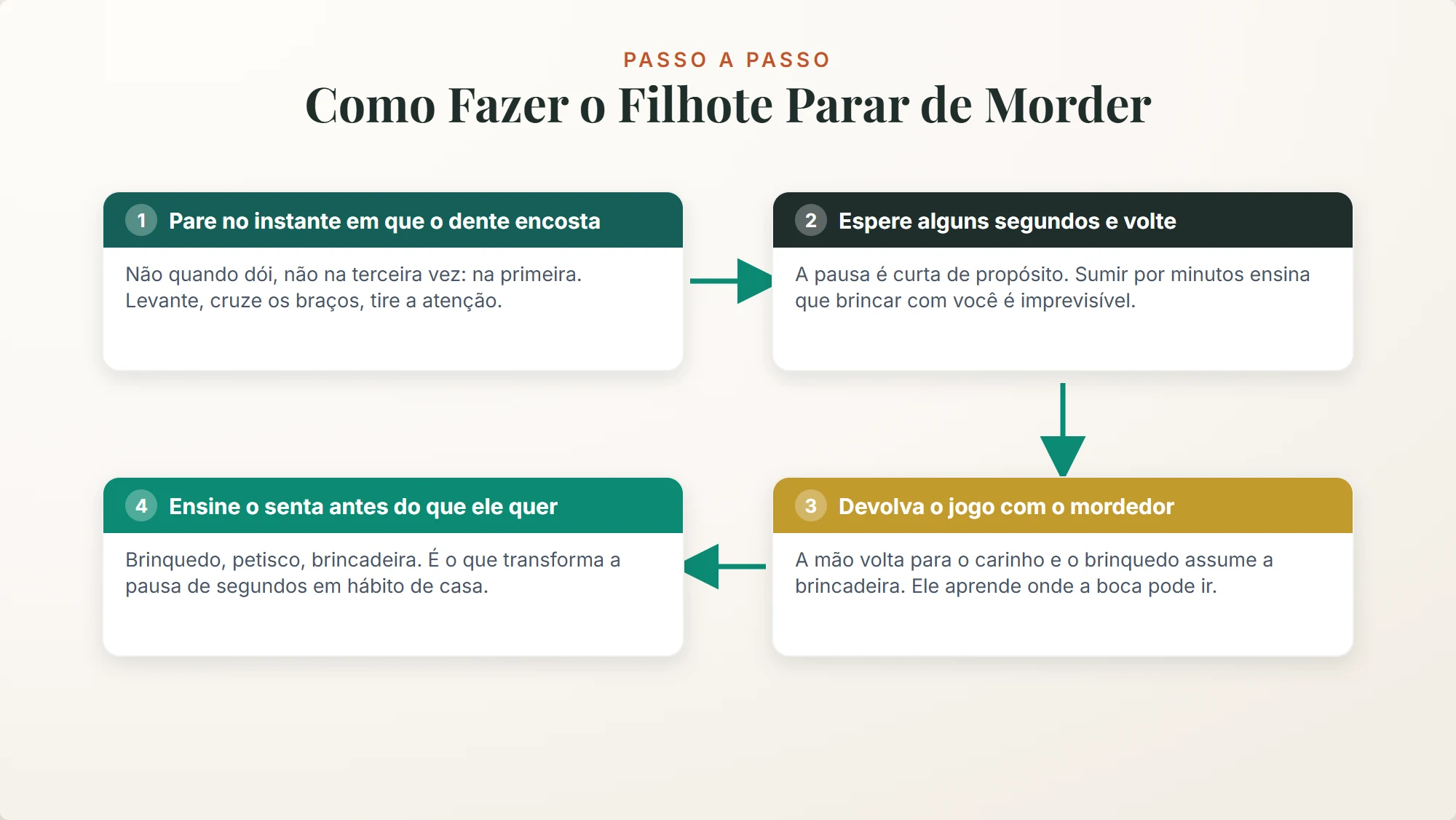 como fazer o filhote parar de morder: os quatro passos do protocolo, do dente na pele ao senta