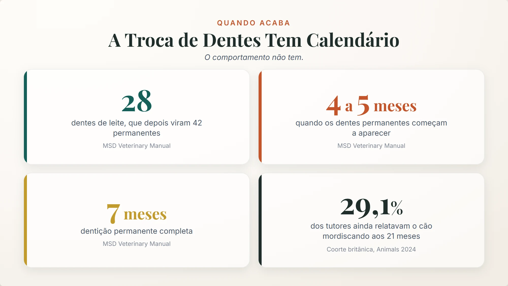 como fazer o filhote parar de morder: 28 dentes de leite, permanentes entre 4 e 5 meses, completos aos 7, e 29,1% ainda mordiscando aos 21 meses numa coorte britânica