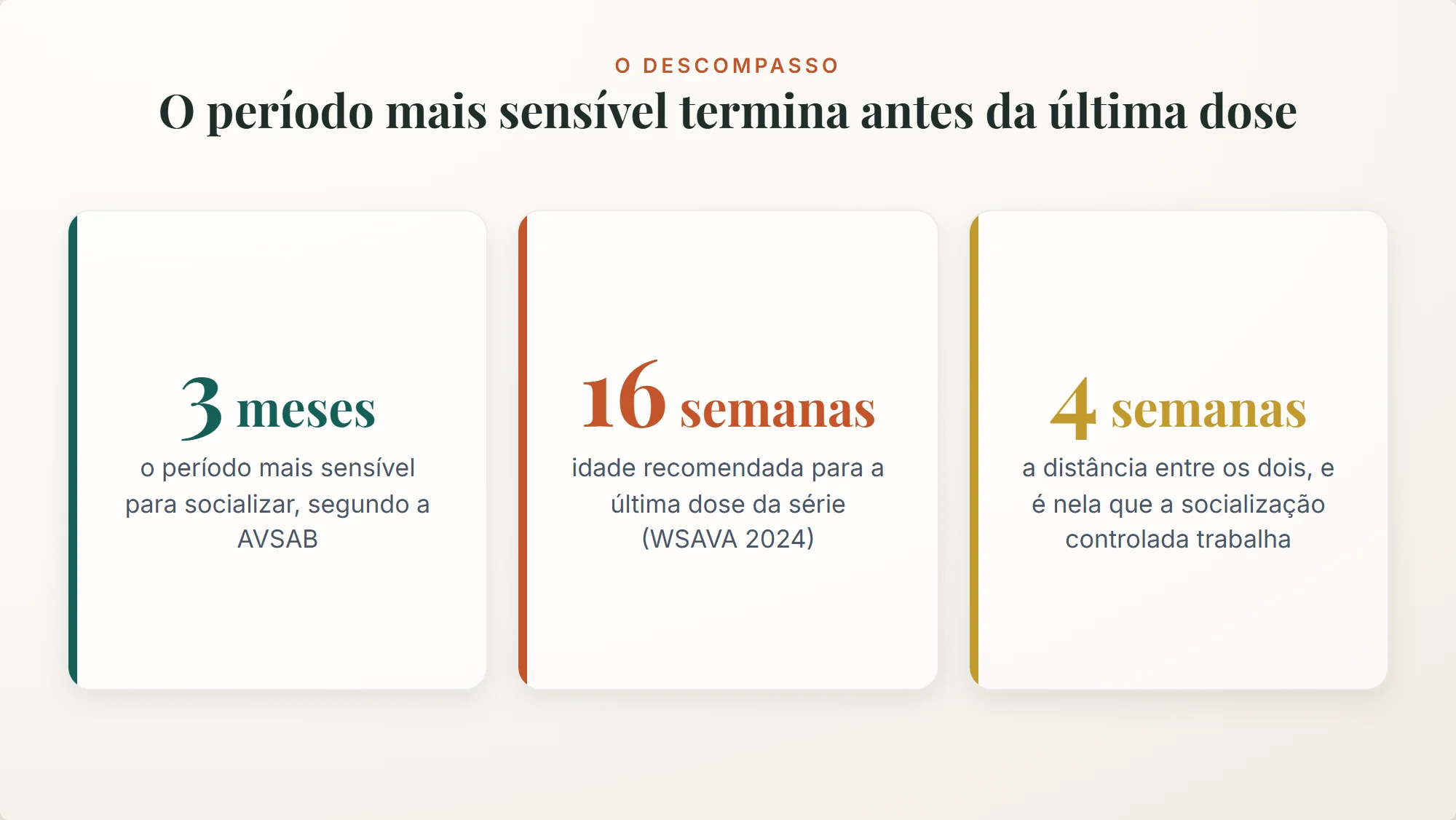 quando o filhote pode passear: o período mais sensível dura três meses e a última dose vem às 16 semanas