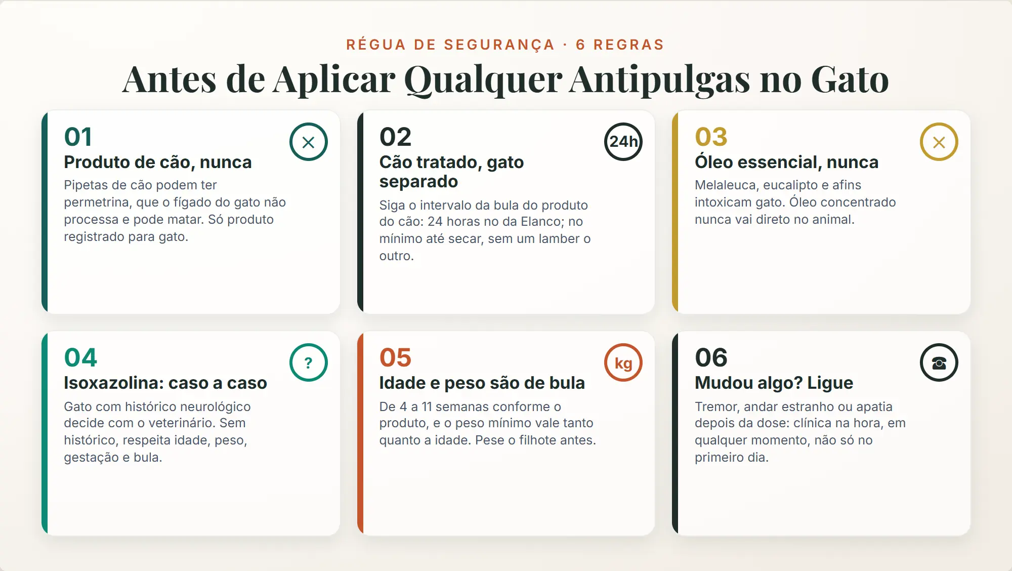 antipulgas para gato: seis regras de segurança, nunca produto de cão, cão com permetrina separado, nunca óleo essencial, isoxazolina caso a caso, idade e peso da bula, ligue ao primeiro sinal