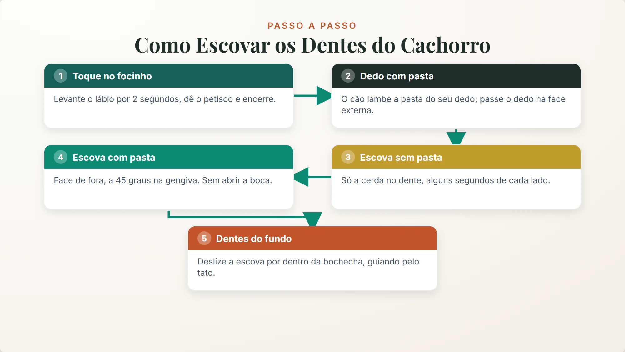 como escovar os dentes do cachorro: as cinco etapas, do toque no focinho aos dentes do fundo, com escova a 45 graus e boca fechada