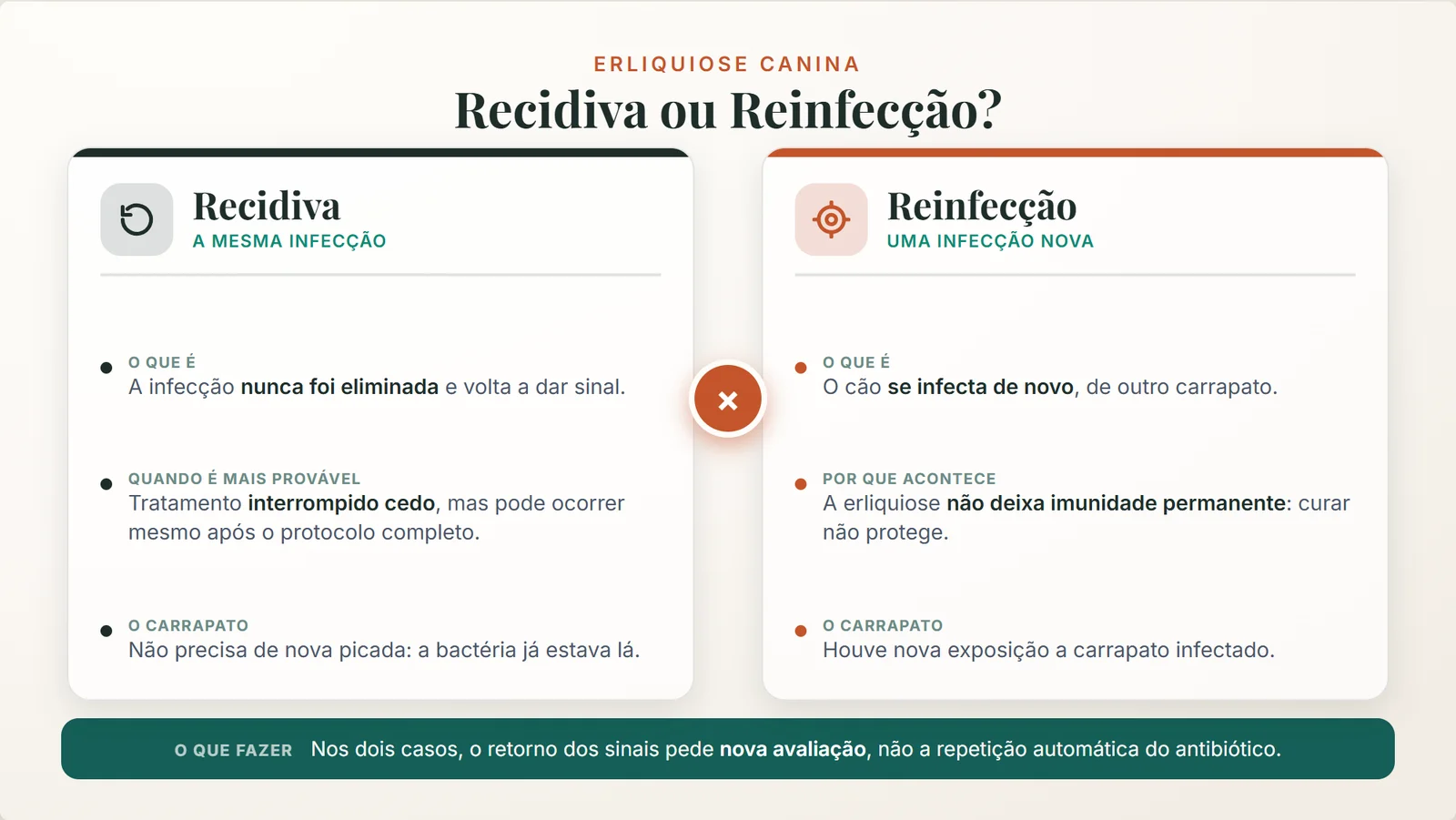 erliquiose canina: quadro comparativo entre recidiva e reinfecção no cão