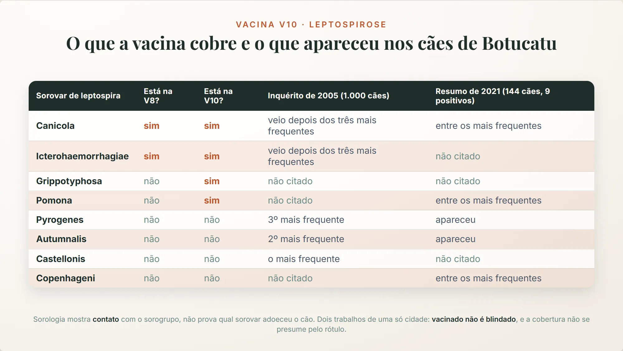 vacina v10: dos sorovares de leptospira mais encontrados nos dois inquéritos de Botucatu, castellonis, autumnalis e pyrogenes não estão na V8 nem na V10