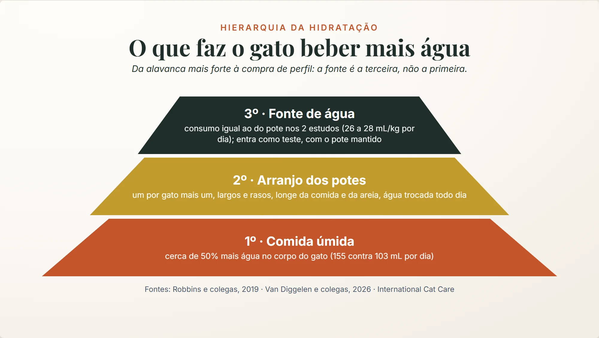 fonte de água para gato: a hierarquia da hidratação começa na comida úmida, com cerca de 50% mais água, passa pelo arranjo dos potes e só termina na fonte